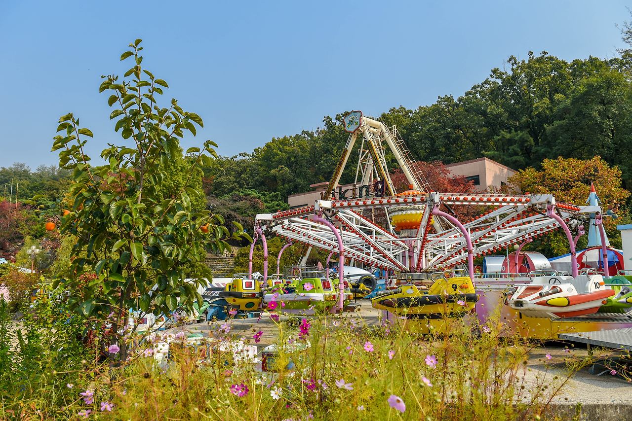 용마랜드 멈춰버린 놀이기구 (2).jpg