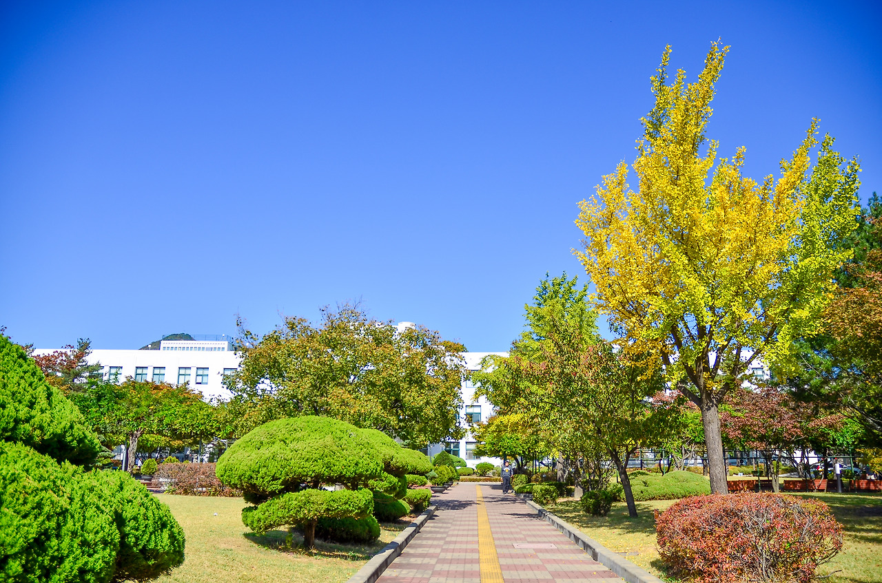 성삼문, 심훈의 집터였던 북촌 정독도서관.jpg