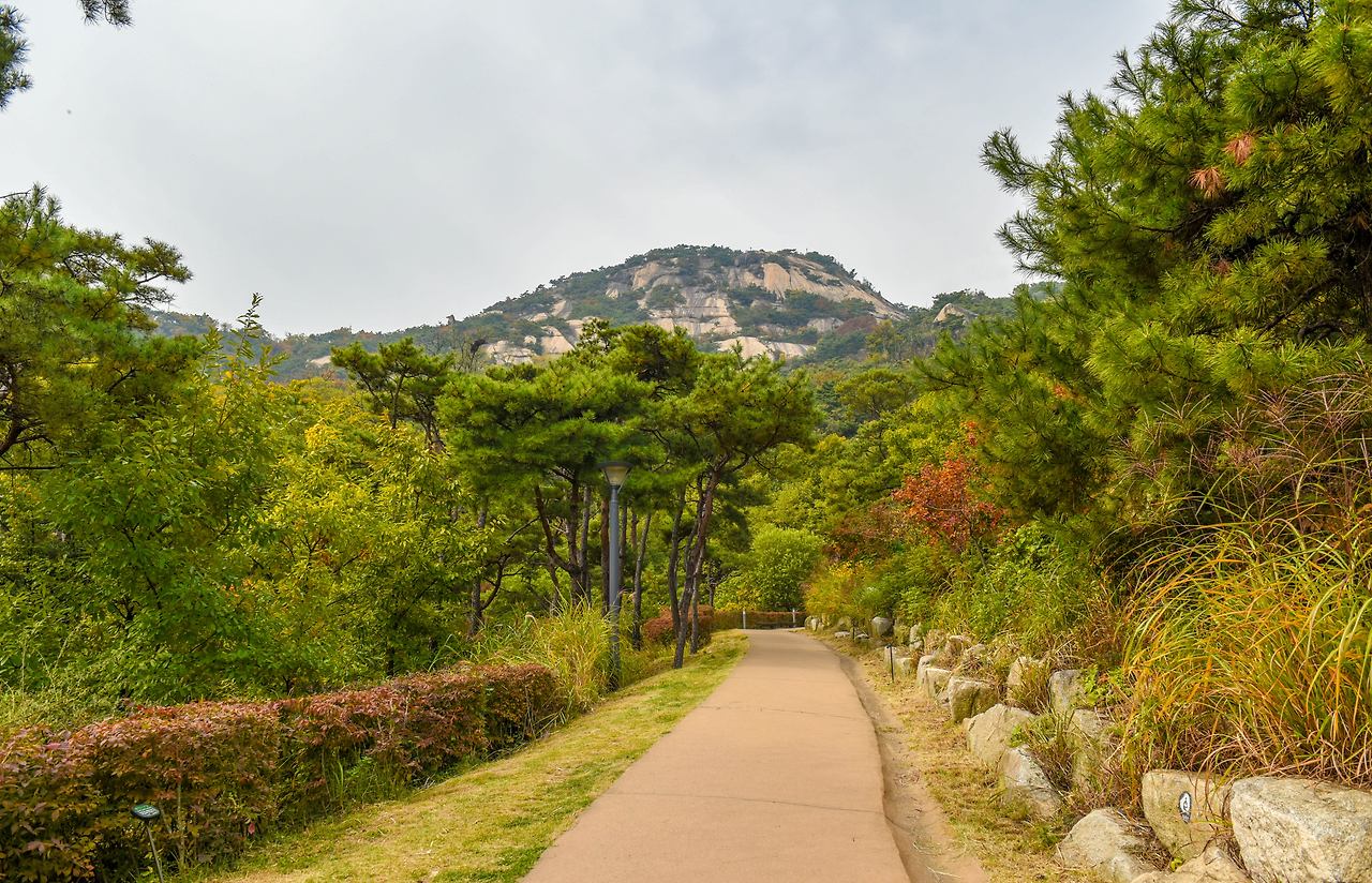 인왕산 숲길.jpg