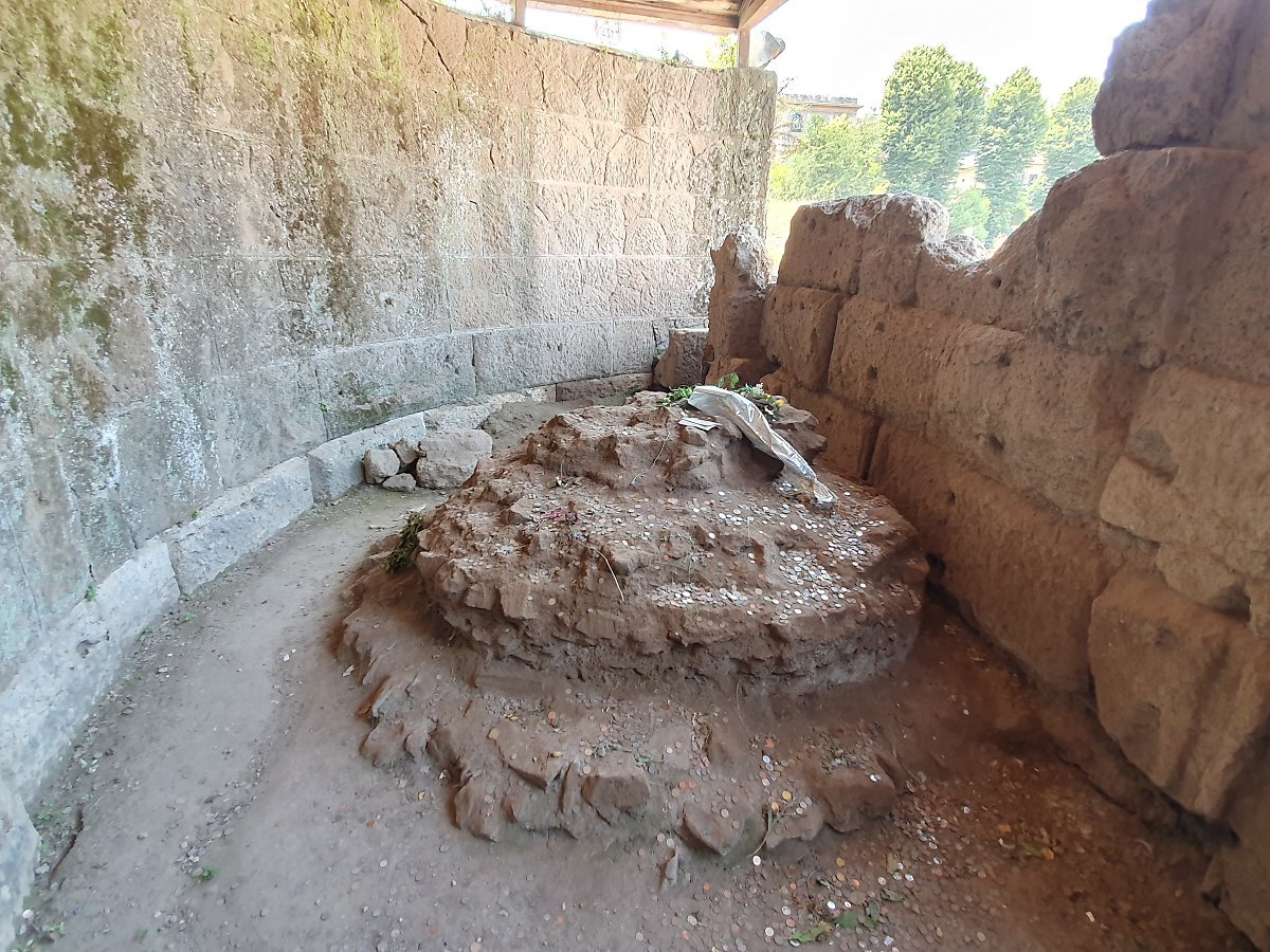 브루투스 너마저.jpg