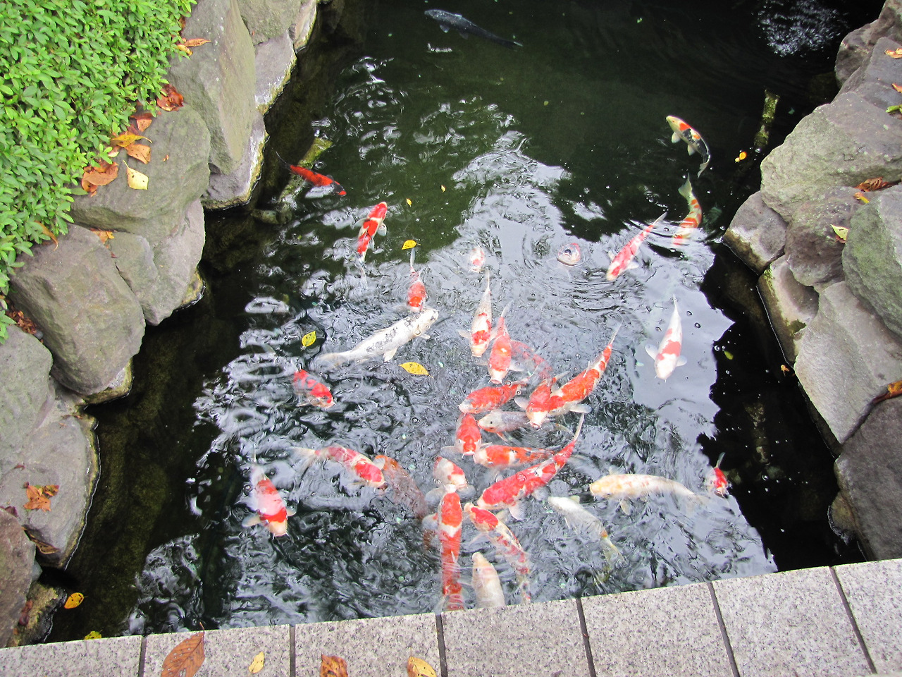 기타 200.jpg