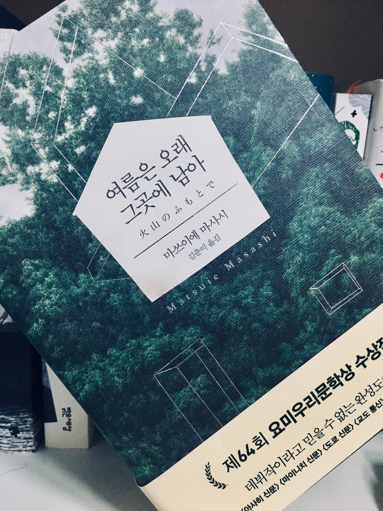 여름은 오래 그곳에 남아