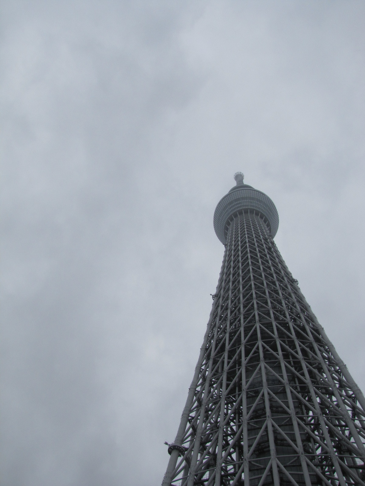 기타 229.jpg