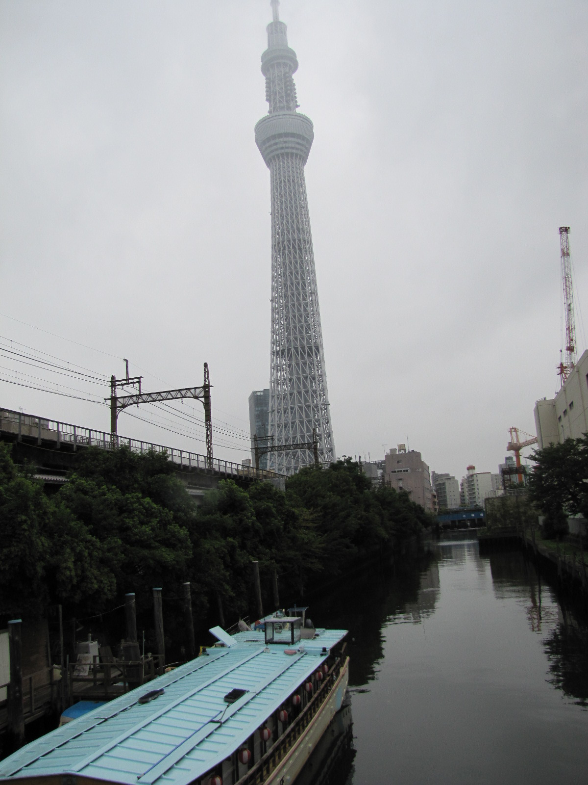 기타 227.jpg