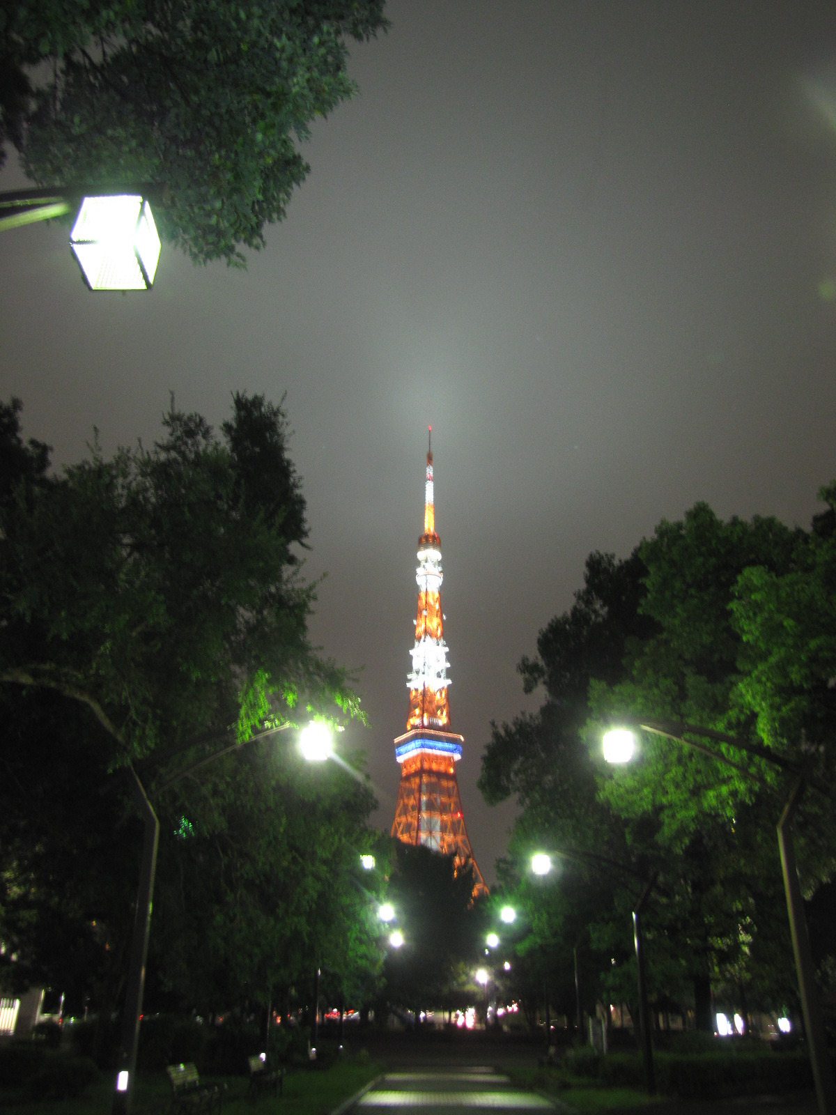 기타 113.jpg