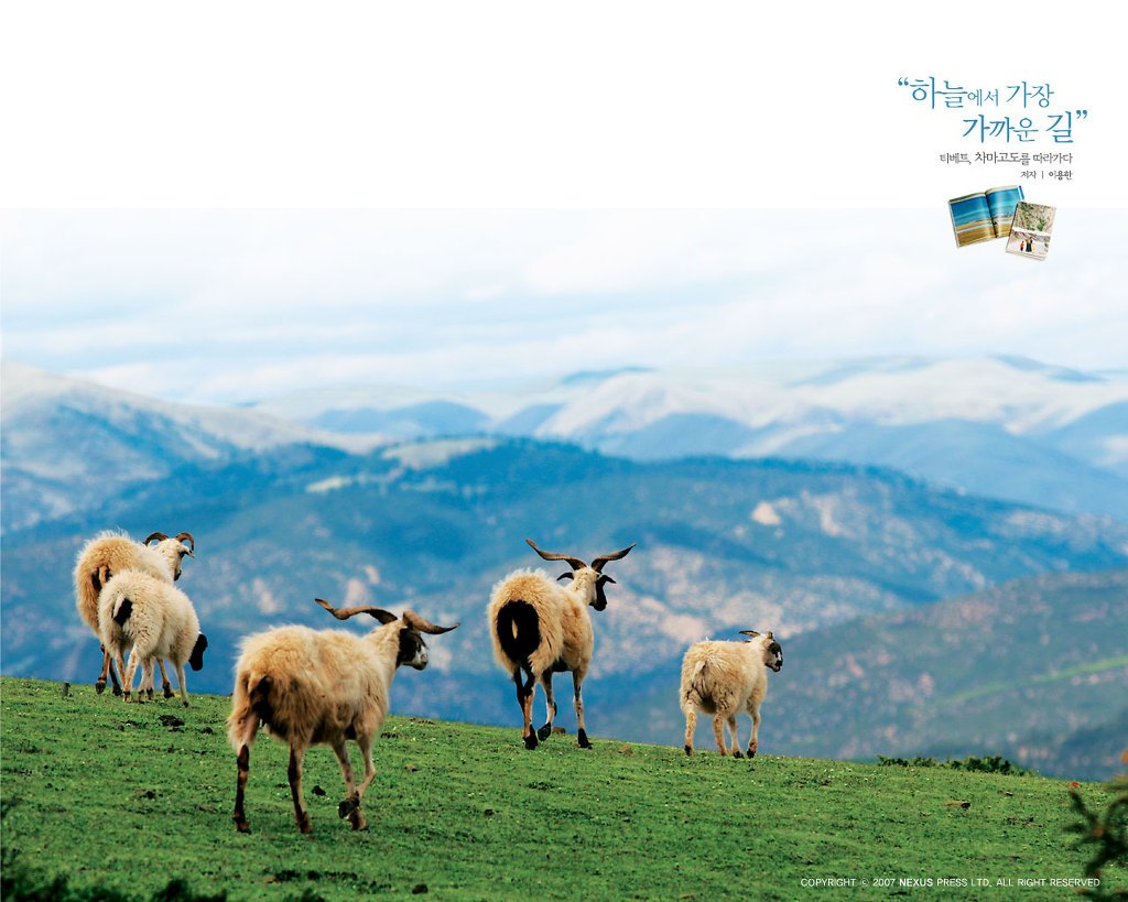 tibet_1280_01.jpg