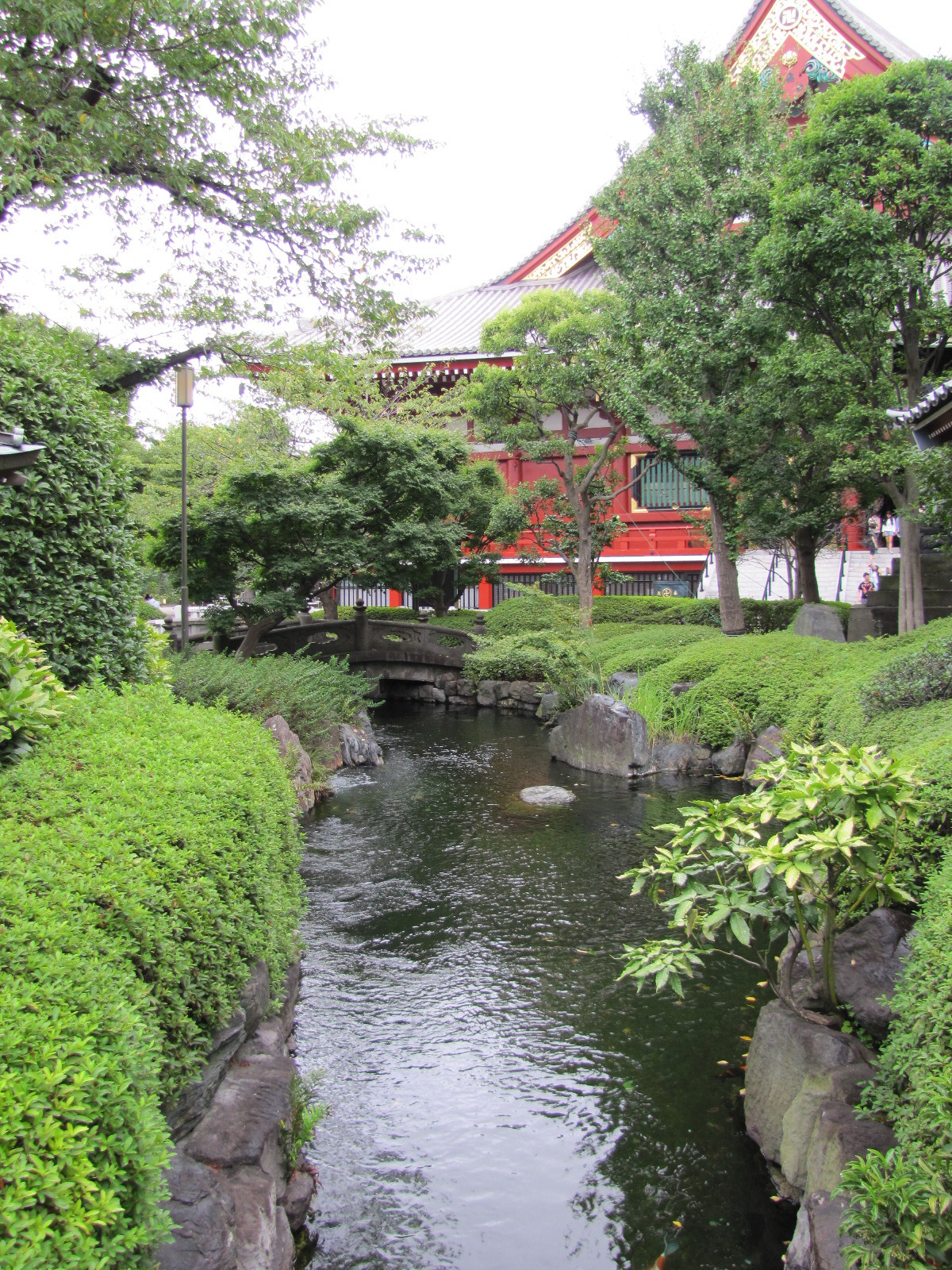 기타 205.jpg