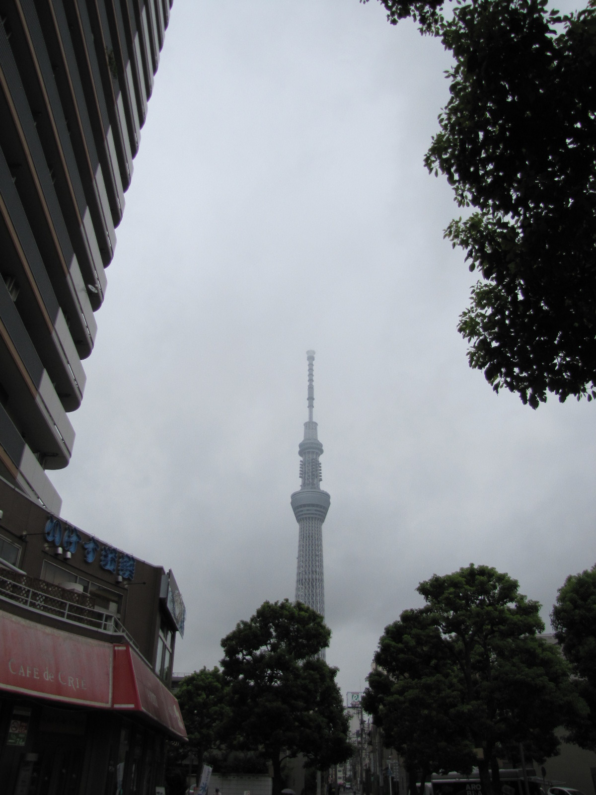 기타 223.jpg