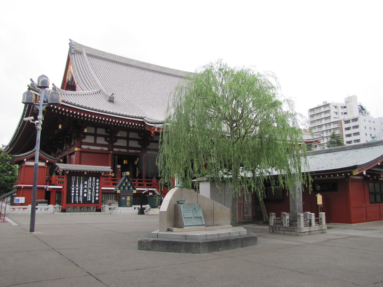 기타 206.jpg