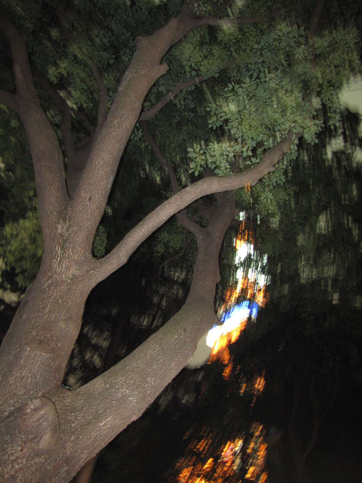 기타 133.jpg