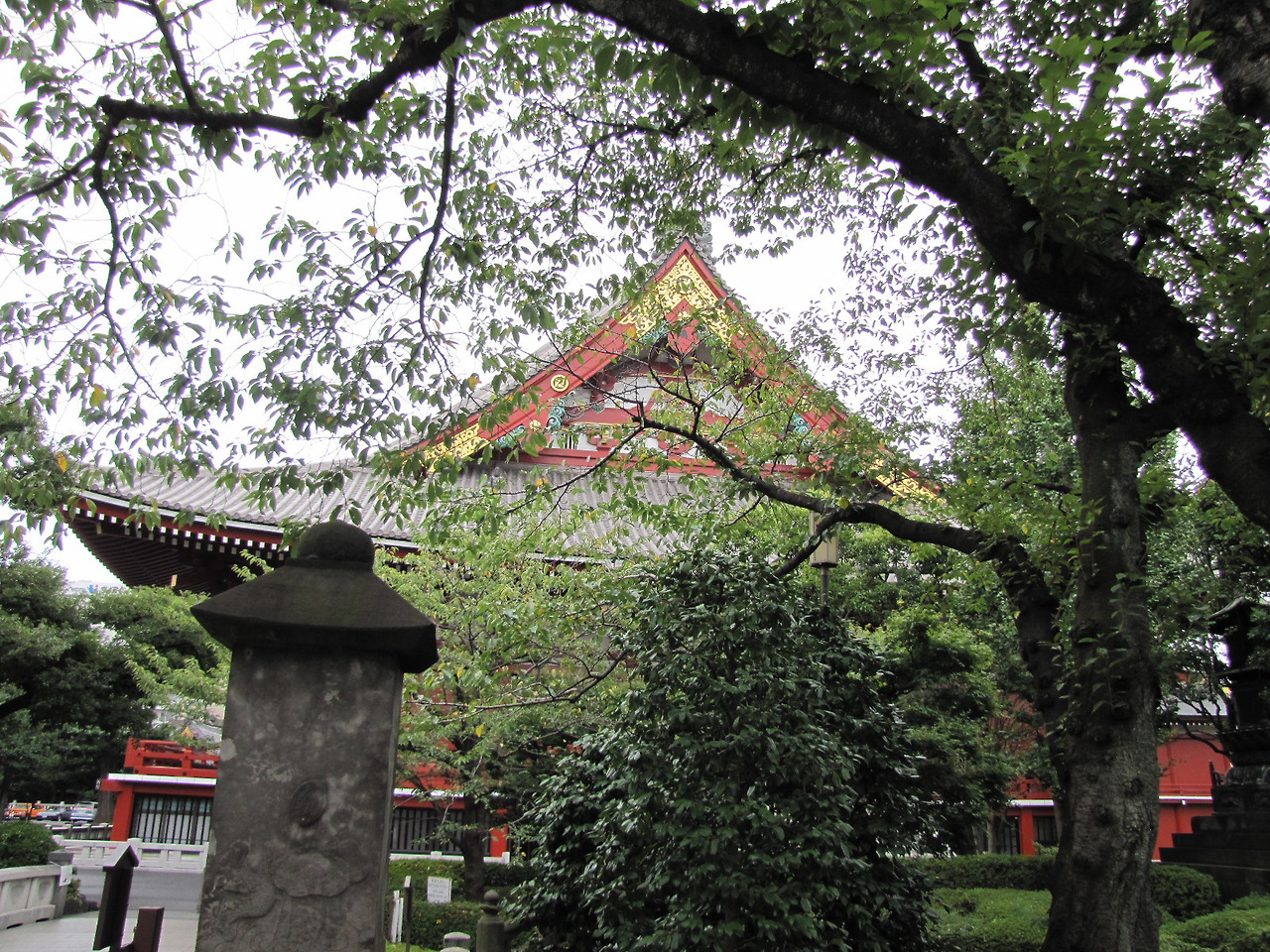 기타 204.jpg