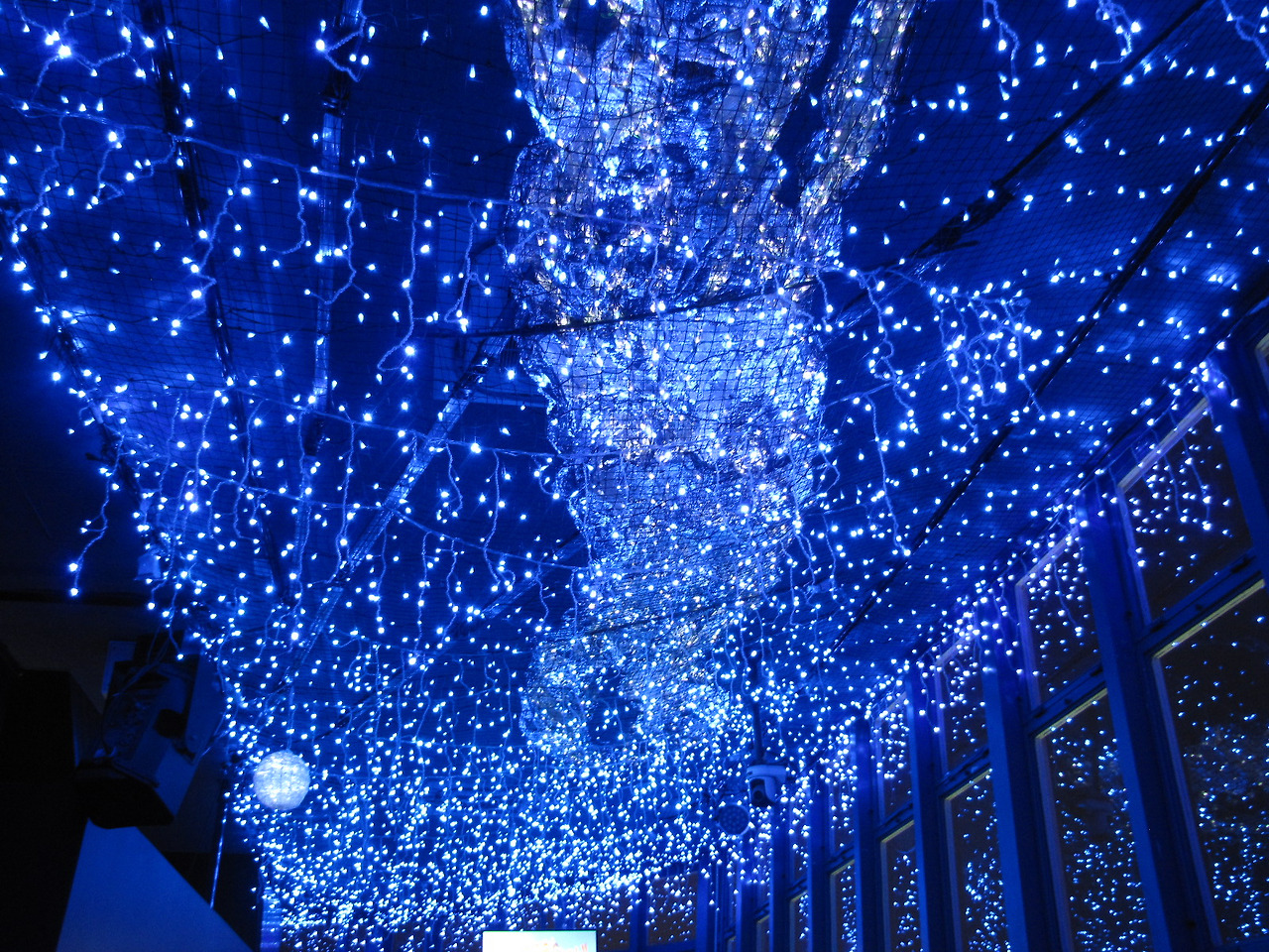 기타 126.jpg