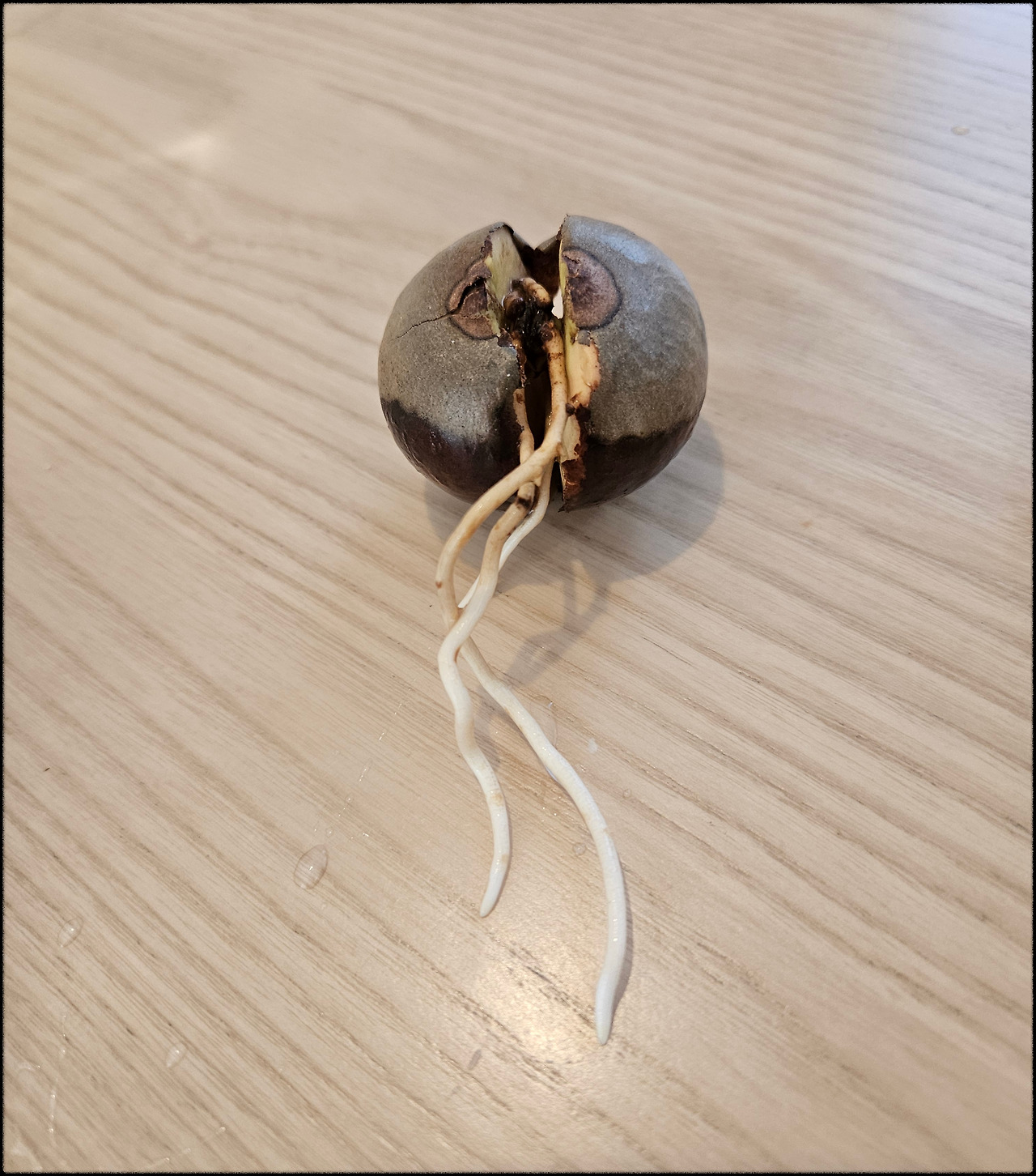 20251029_145137 1.jpg