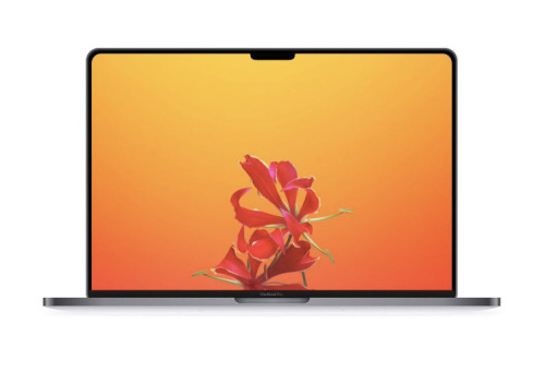 9a69249bdca2cf3ccd89009295a2ab5c (1).jpg