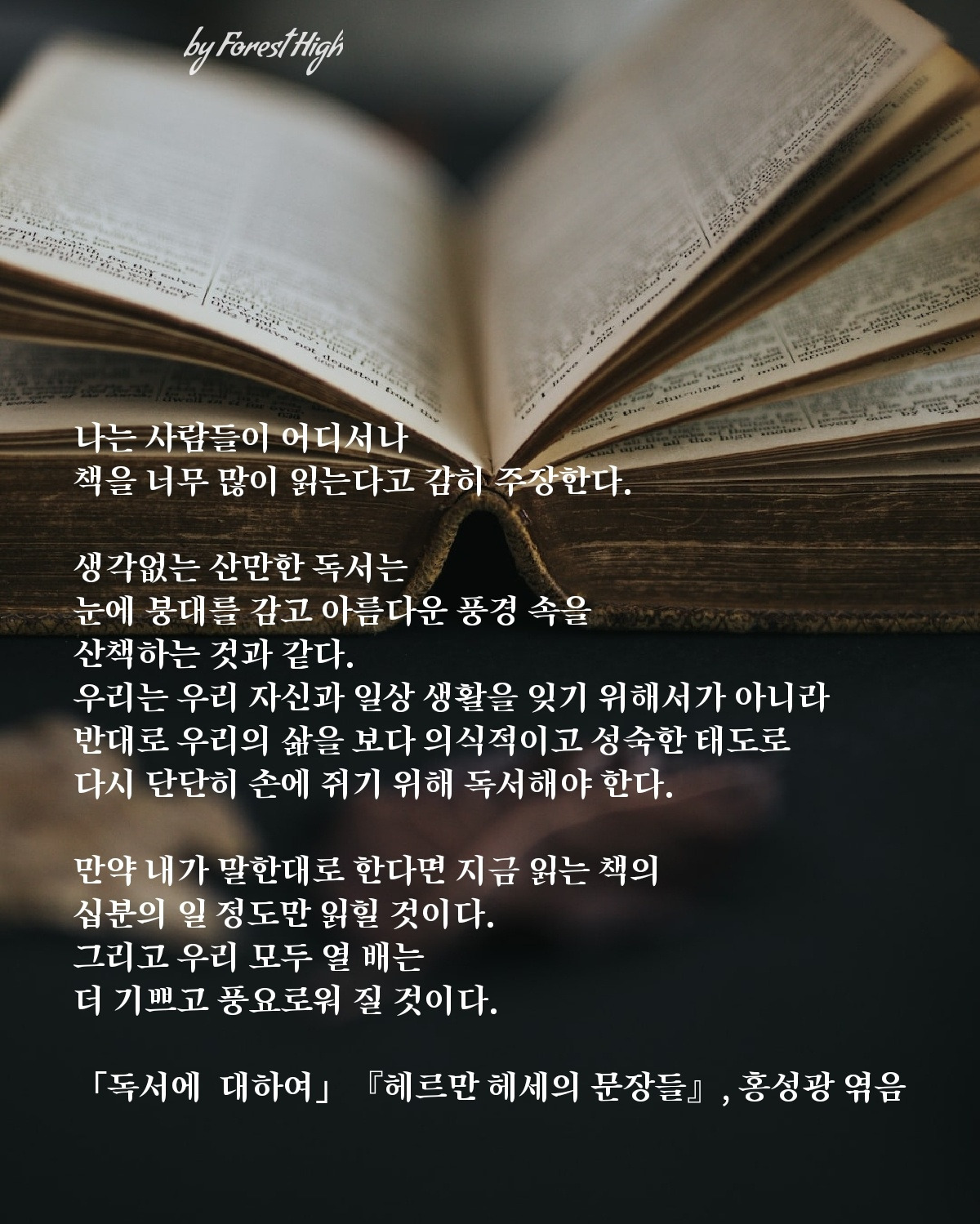 헤르만 헤세 독서에 대하여.jpg