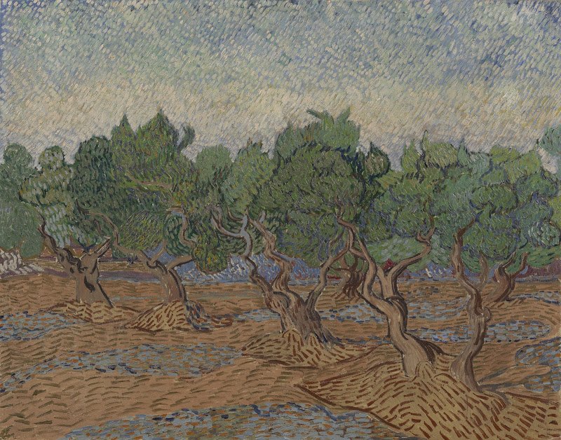 vangoghmuseum-s0045V1962-800_OliveGrove.jpg