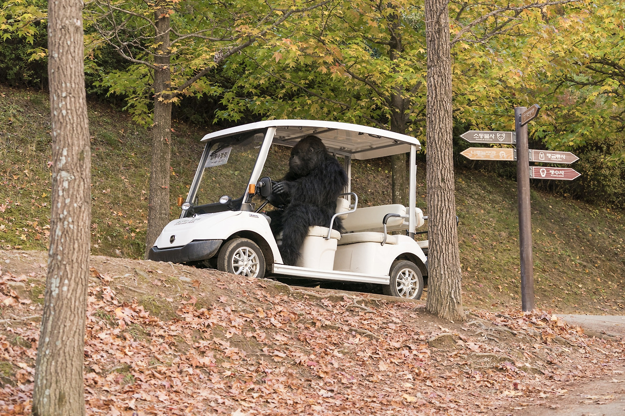 movie_image (33).jpg