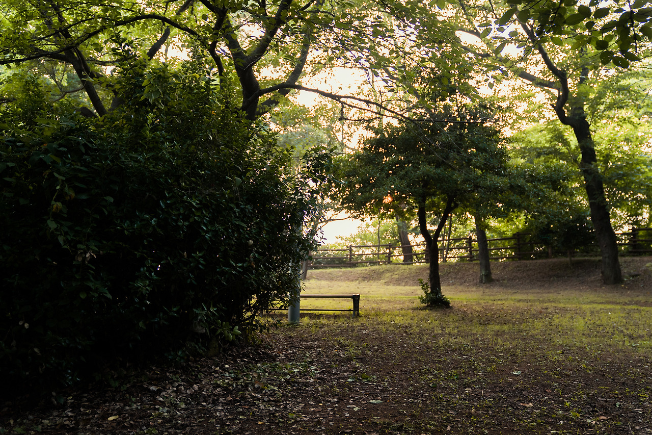 월명공원 일러 들어갈 사진.jpg