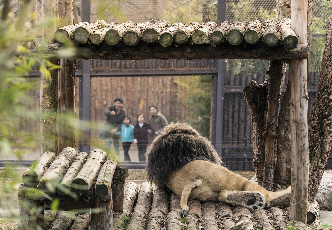 movie_image (32).jpg