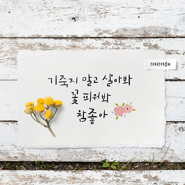 200426-캘리-나태주,풀꽃3-너만 모르는 그리움.jpg