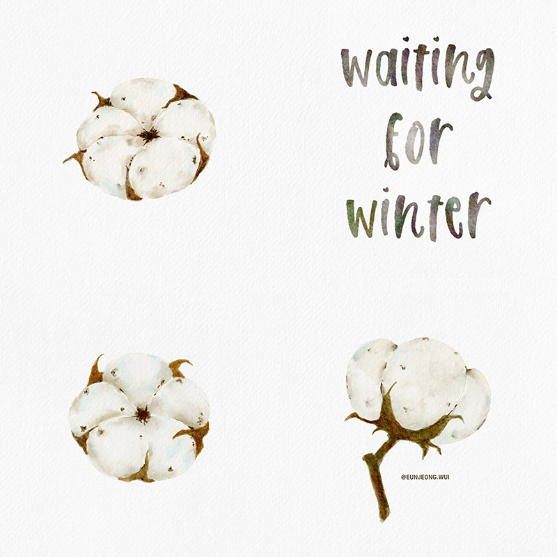 191027-waiting for winter-800.jpg