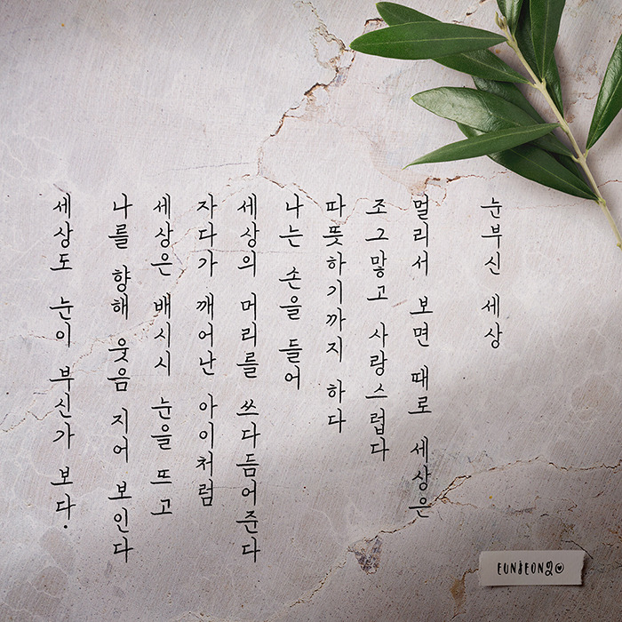 200515-손글씨-나태주,눈부신 세상-너만 모르는 그리움.jpg