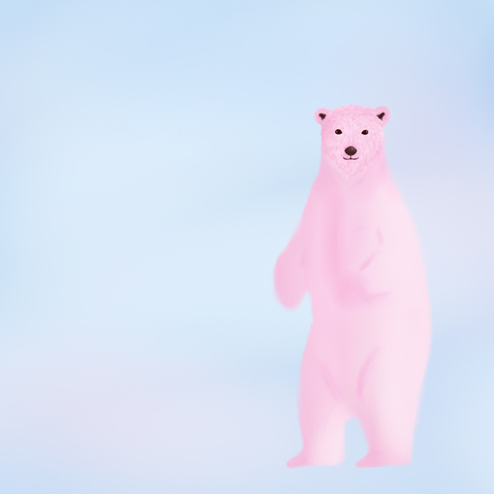 북극곰_010.jpg