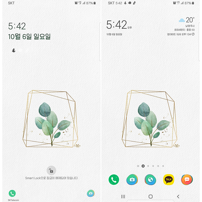 191006-그라폴리오배경-magic plant_800.jpg