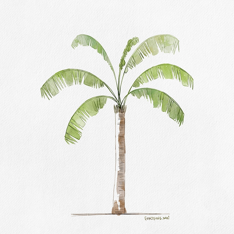 190331-야자수-그라폴리오.jpg