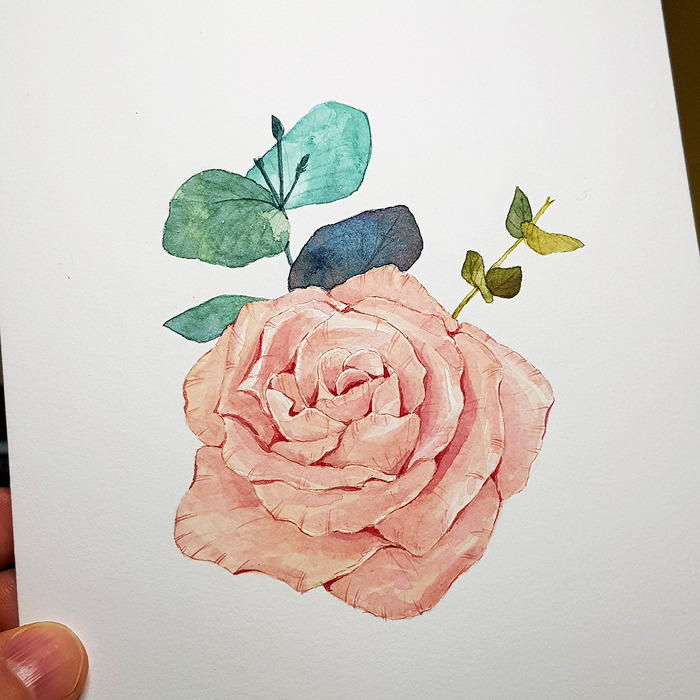 수채화일러스트_장미_장미그리기_블라썸_99_20180102_214623.jpg