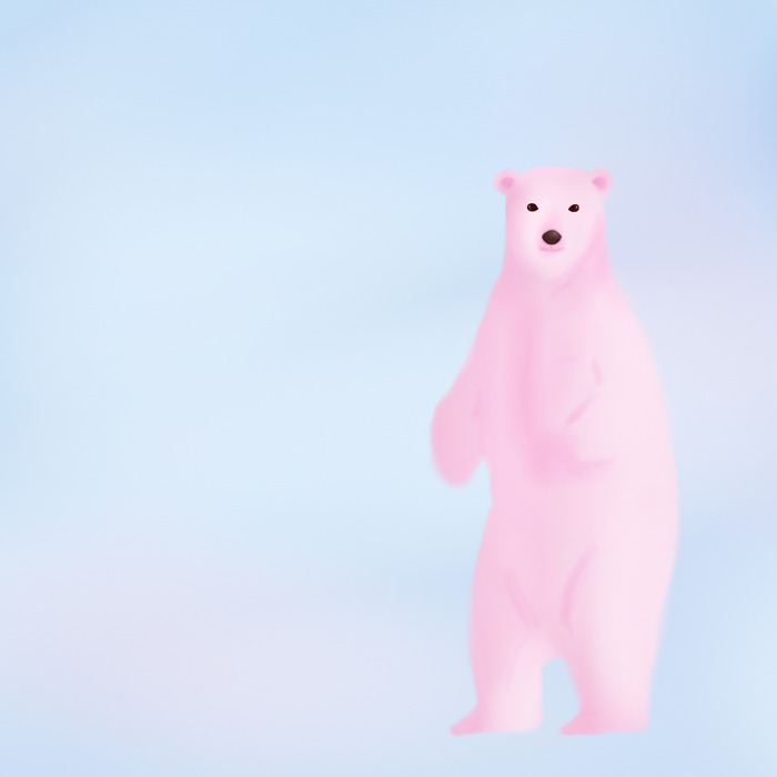 북극곰_006.jpg