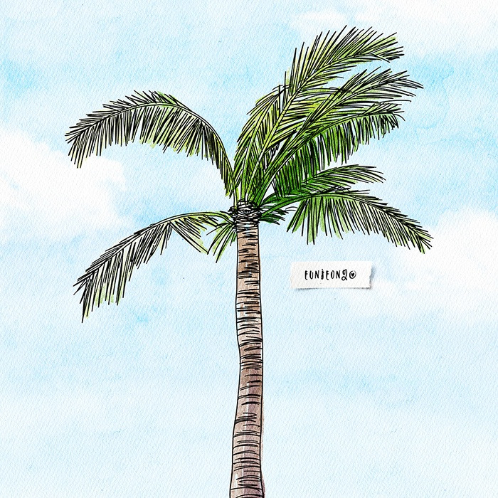 200620-프로크리에이트-야자수나무1-크롭[꿈보그림]-700.jpg