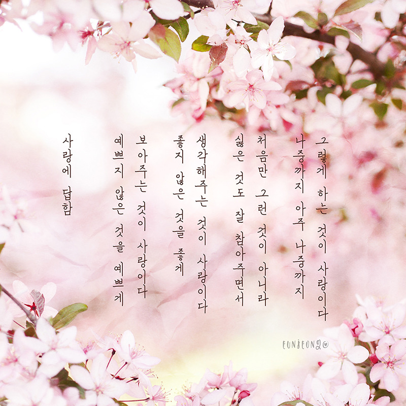 200131-나태주,사랑에_답함-02(Photo by Aaron Burden on Unsplash)-800.jpg