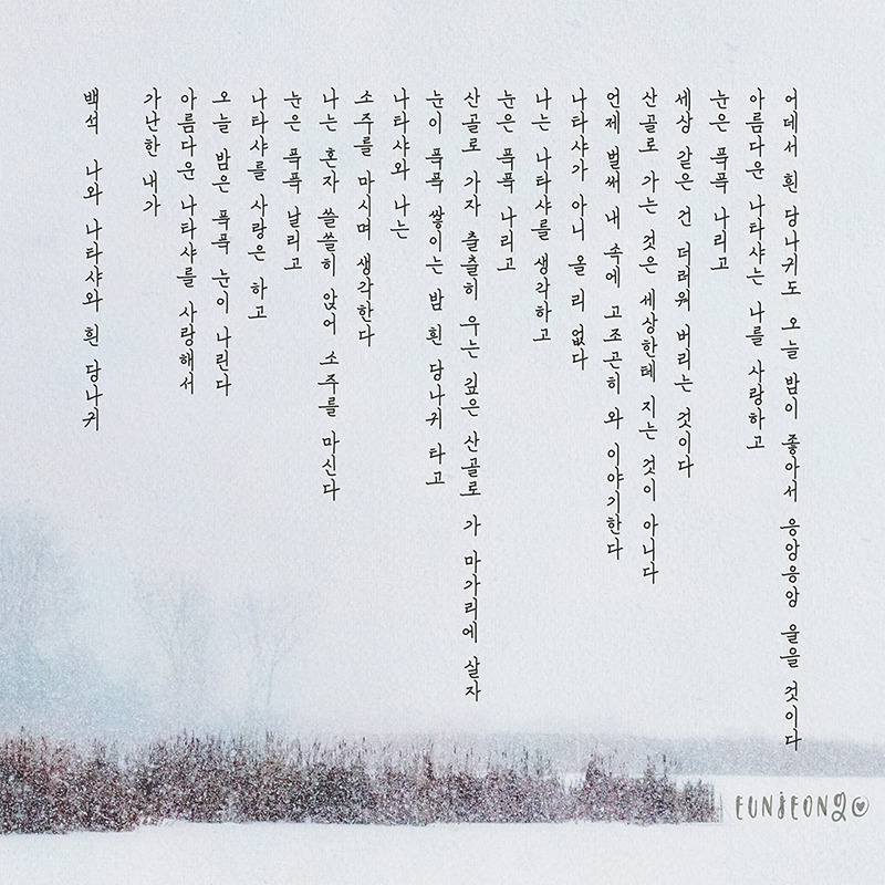 200201-백석,나와_나타샤와_흰_당나귀-02(Photo by Jessica Johnston on Unsplash)-800.jpg