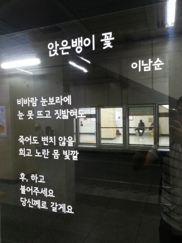 앉은뱅이 꽃.jpg