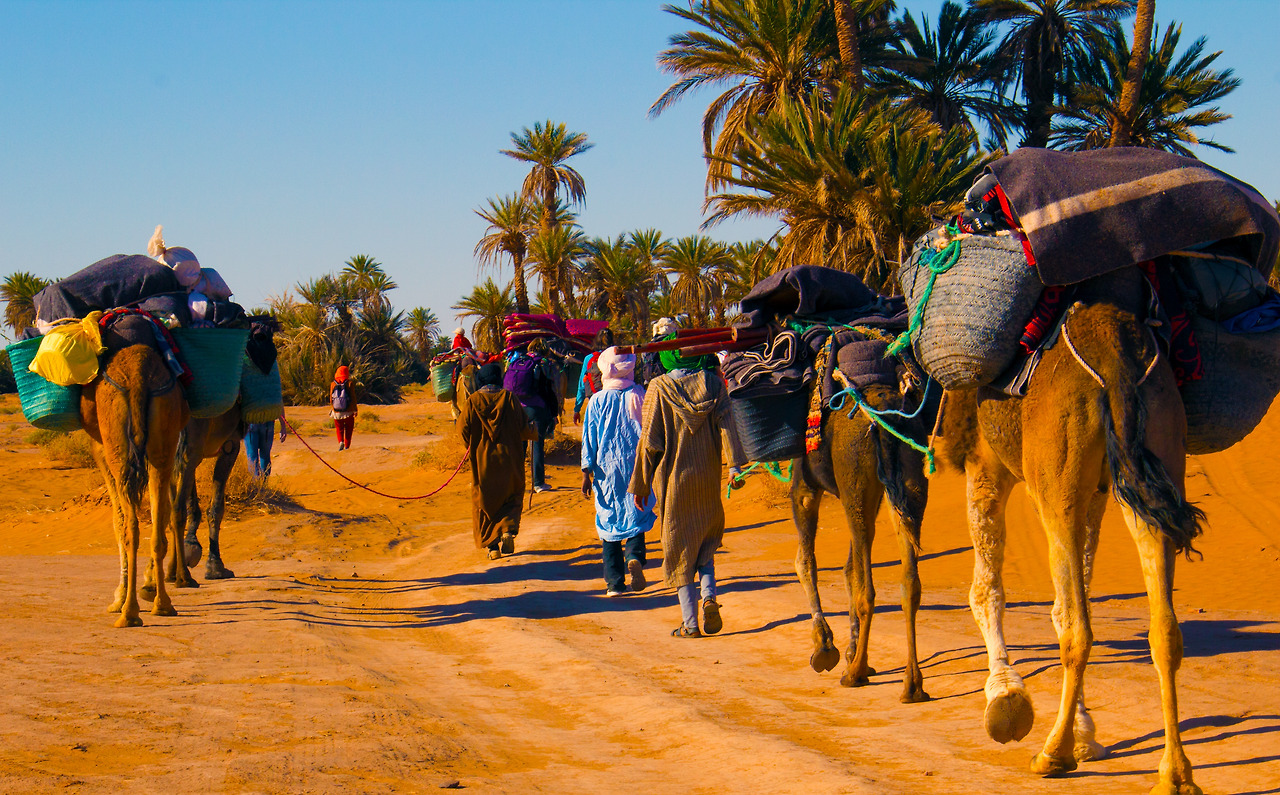 대상 행렬.jpg