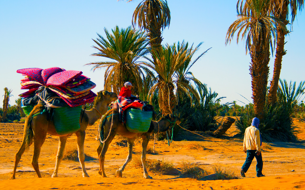 낙타 등에 타고가는 샤샤.jpg