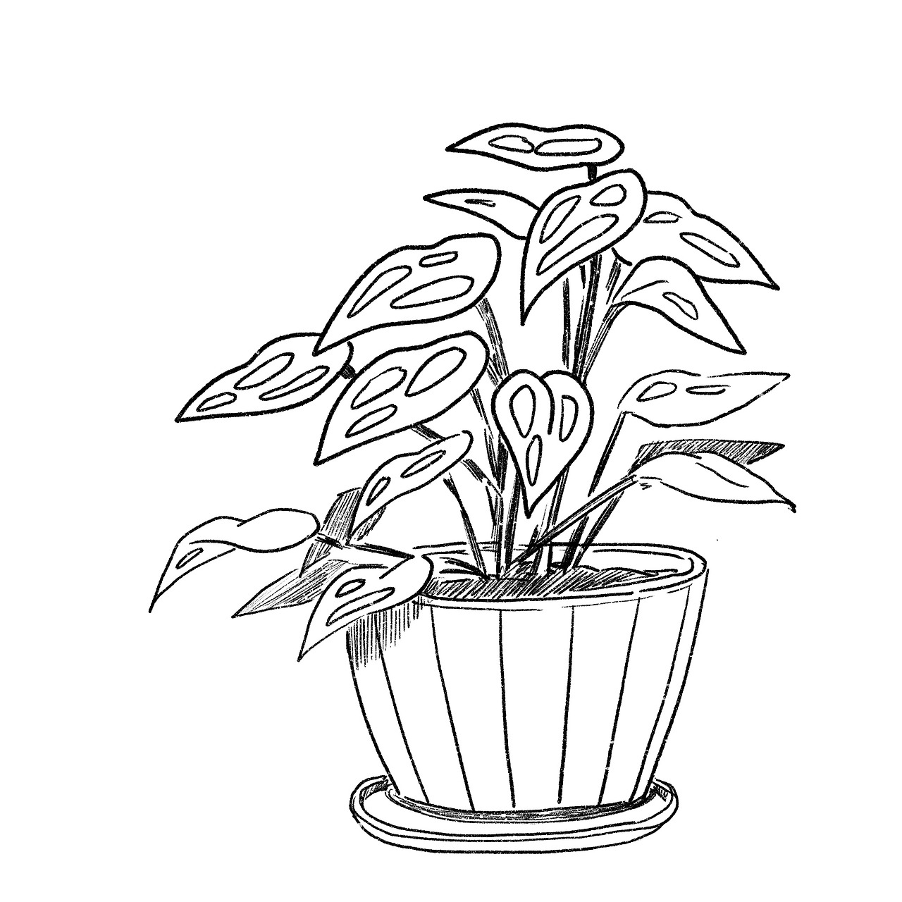 제목_없는_아트워크 5.jpg