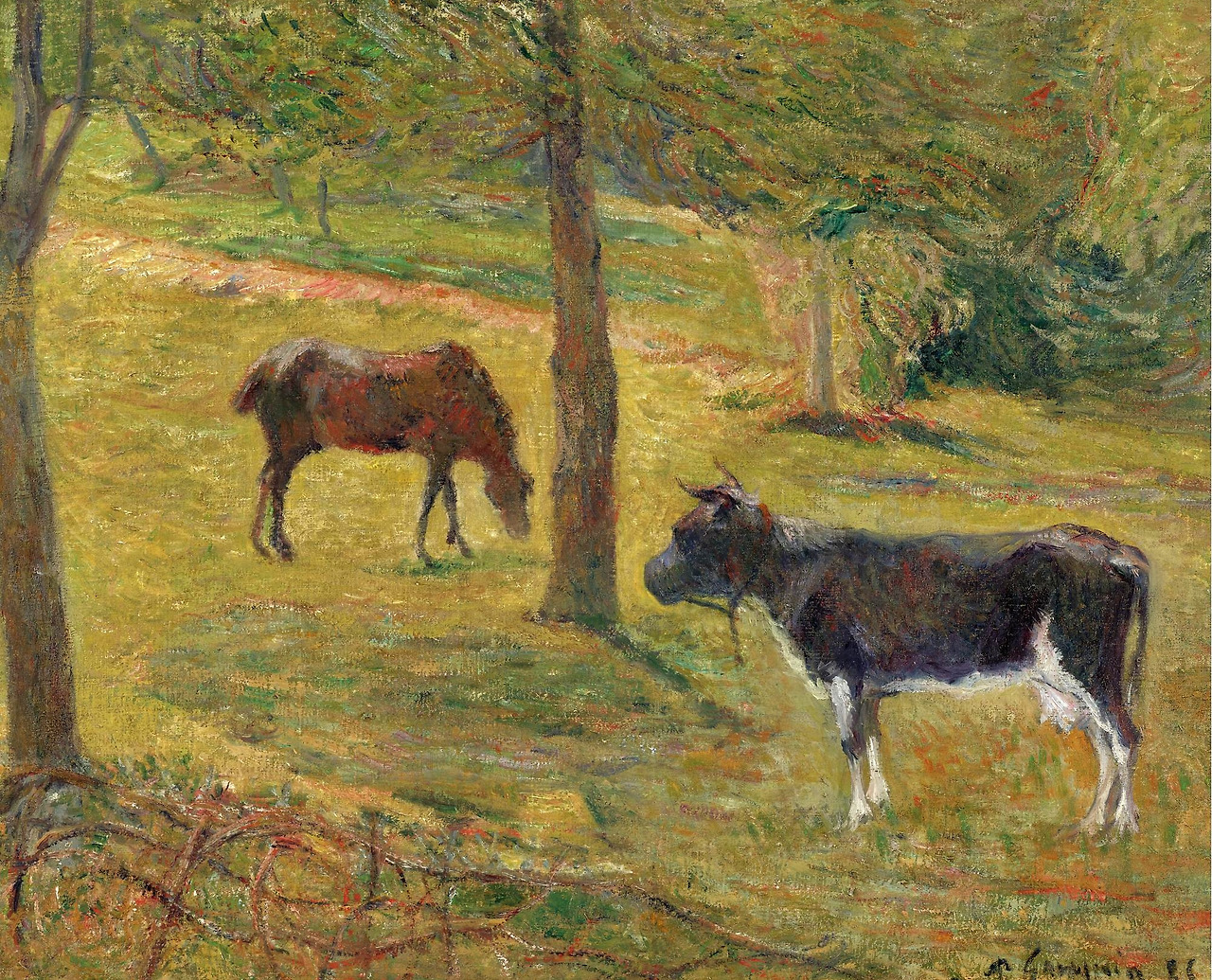 vache-et-cheval-dans-un-pr_15073784103_o.jpg