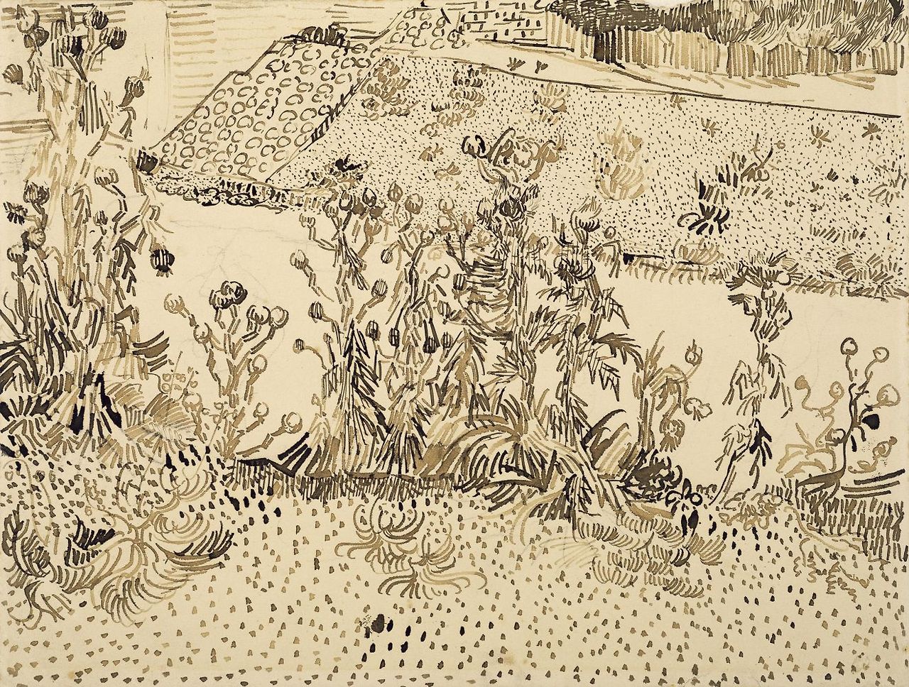 1888 Van Gogh Thistles Along the Roadside,drawing(Van Gogh Museum Amsterdam.jpg