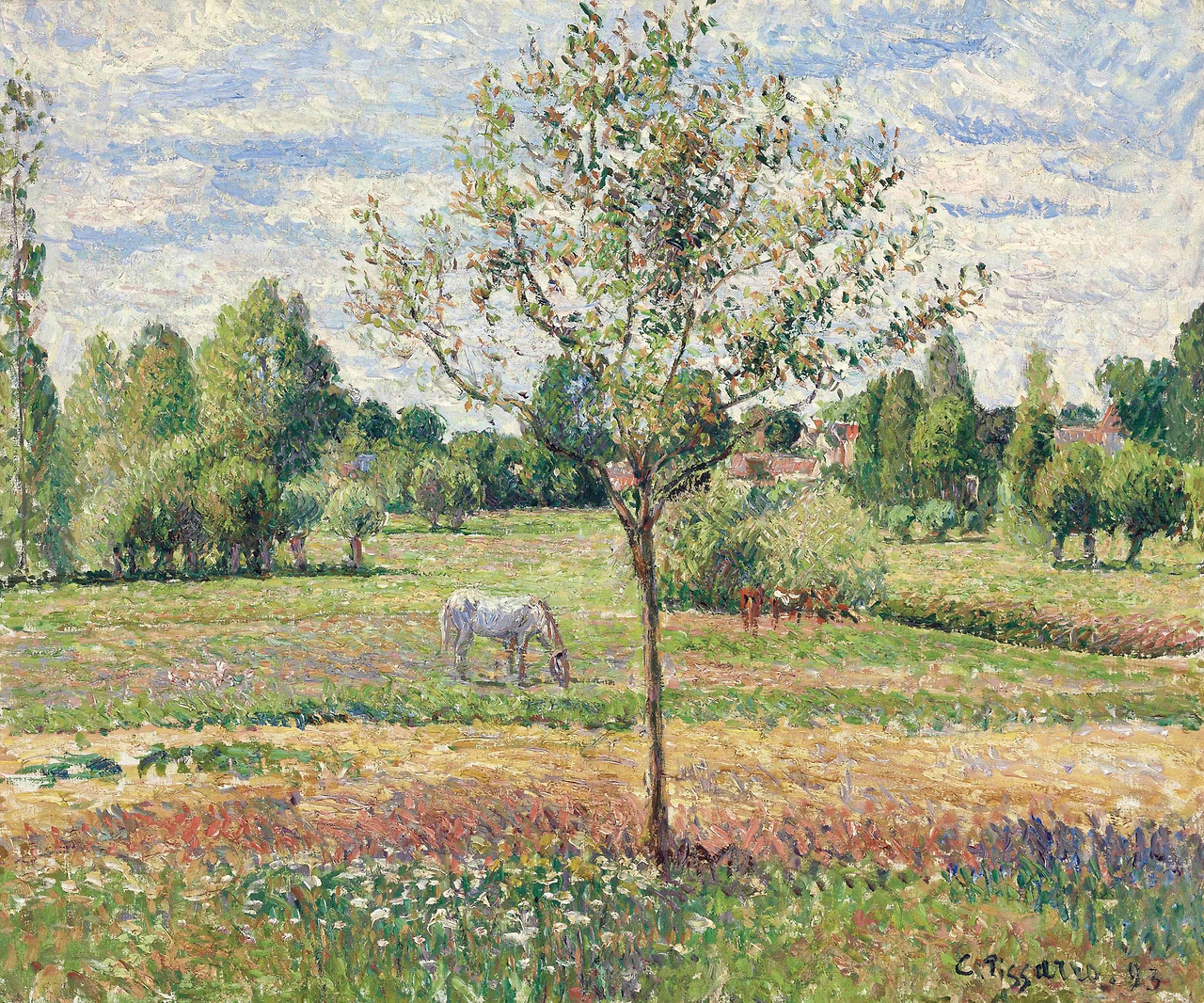 pissarro-camille---collezione-privata---le-pre-avec-cheval-gris-eragny-1893-olio-su-tela-54-x-65-cm_50840358817_o.jpg
