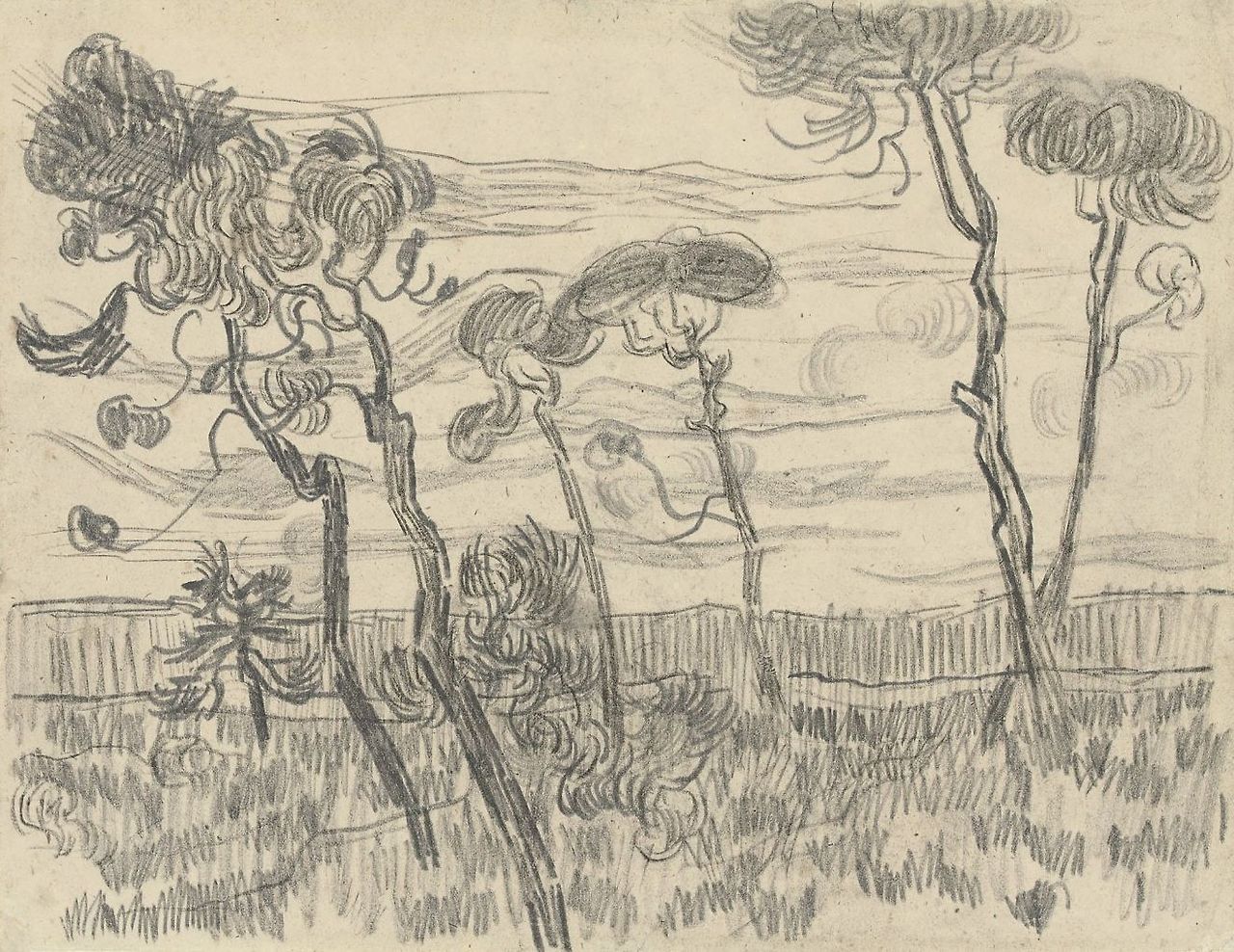 1889 Van Gogh Six pines near the enclosure wall,drawing(private collection).jpg