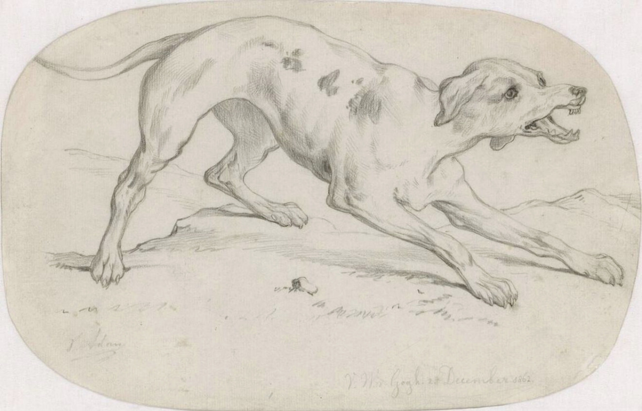 van-gogh-vincent---otterlo---kroller-muller-museum---barking-dog-after-v-adam-1862-matita-su-carta-182-x-286-cm_50457180943_o.jpg