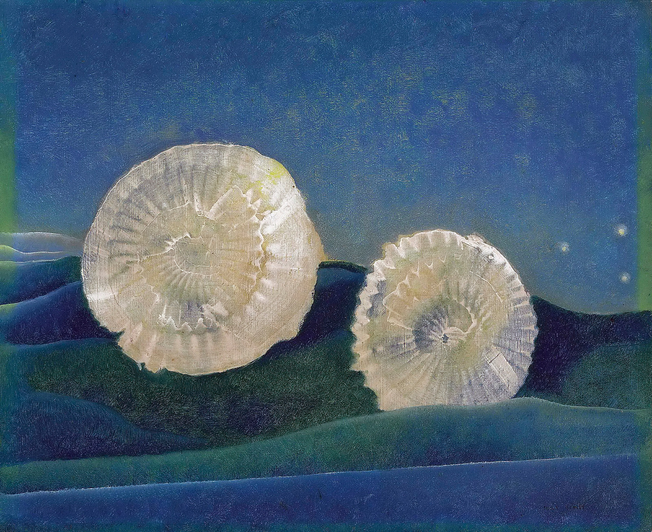 les-coquilles_24173397607_o.jpg