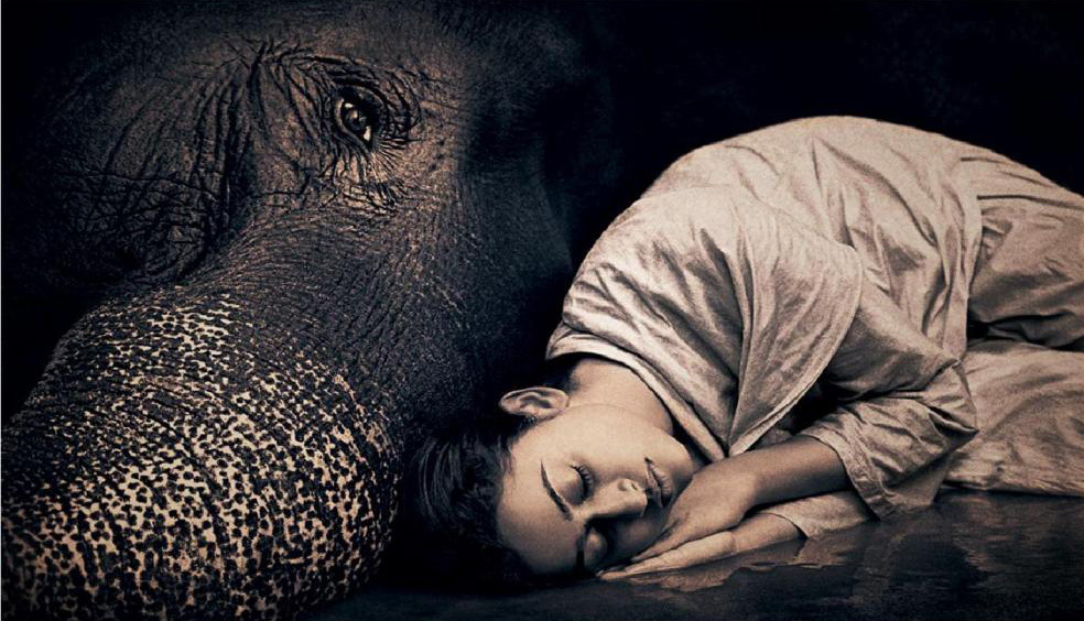 Gregory_Colbert 1.jpg
