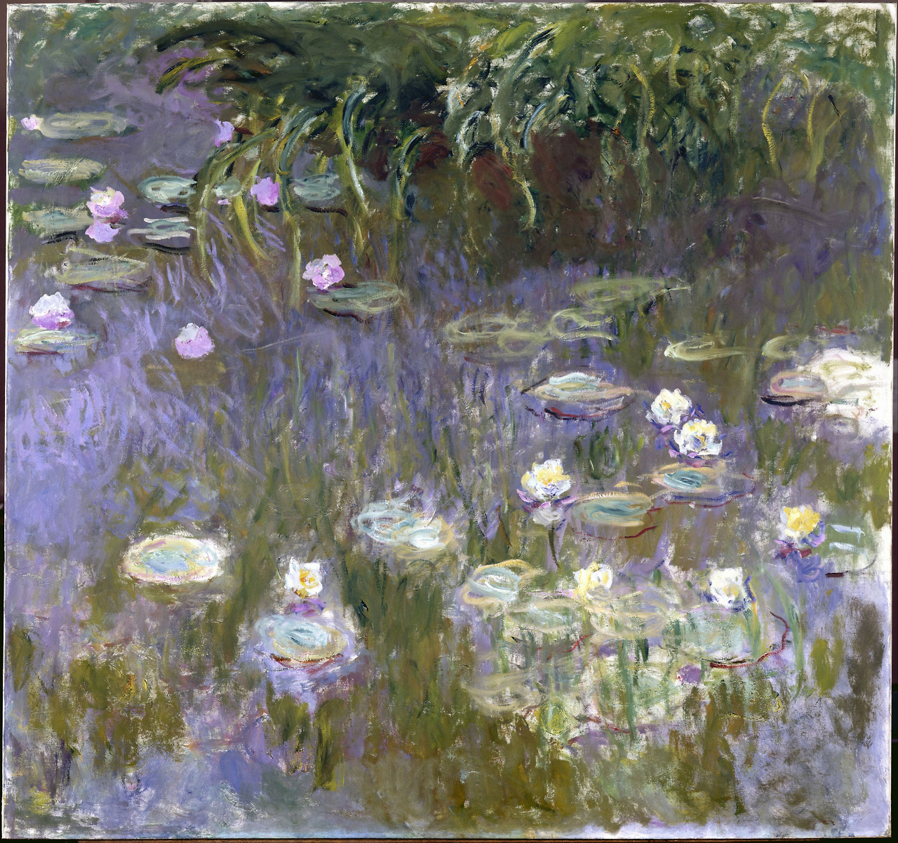 water-lilies_9731314843_o.jpg