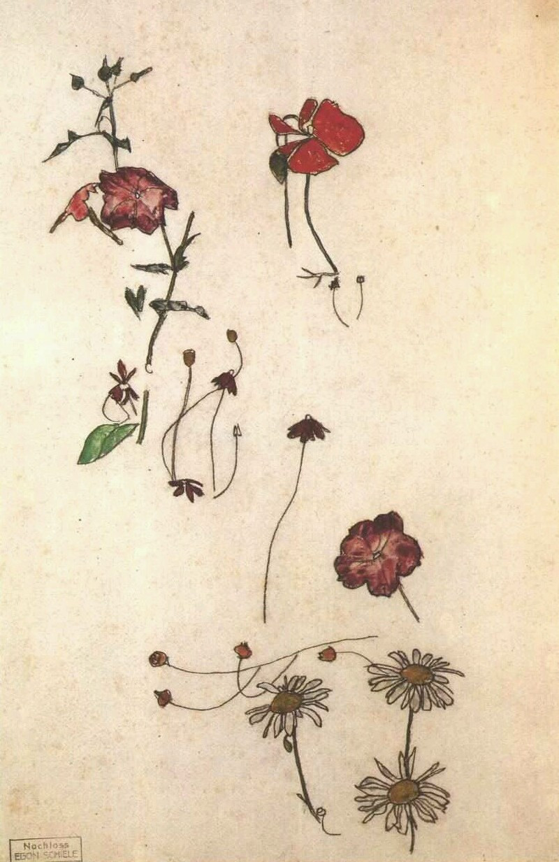 Egon Schiele - flowers.jpg