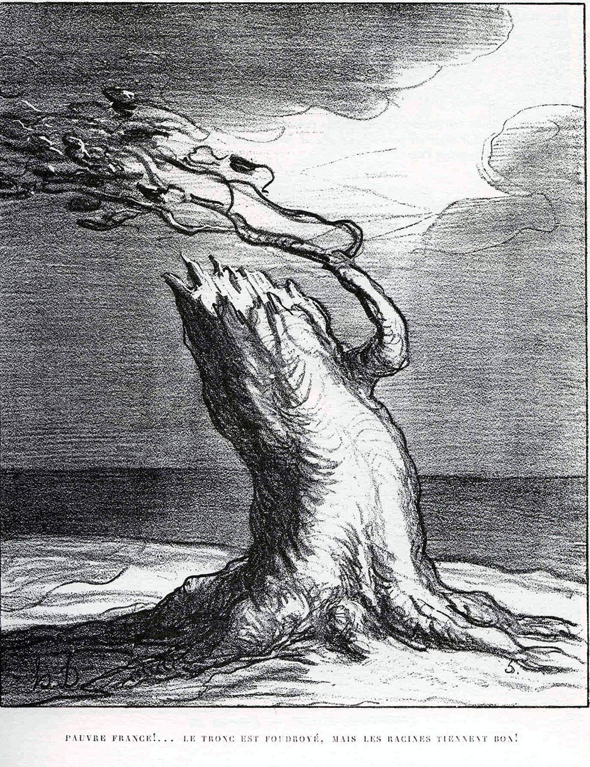 pauvre-france--le-tronc-est-foudroy-mais-les-racines-tiennent-bon-_9453572376_o.jpg