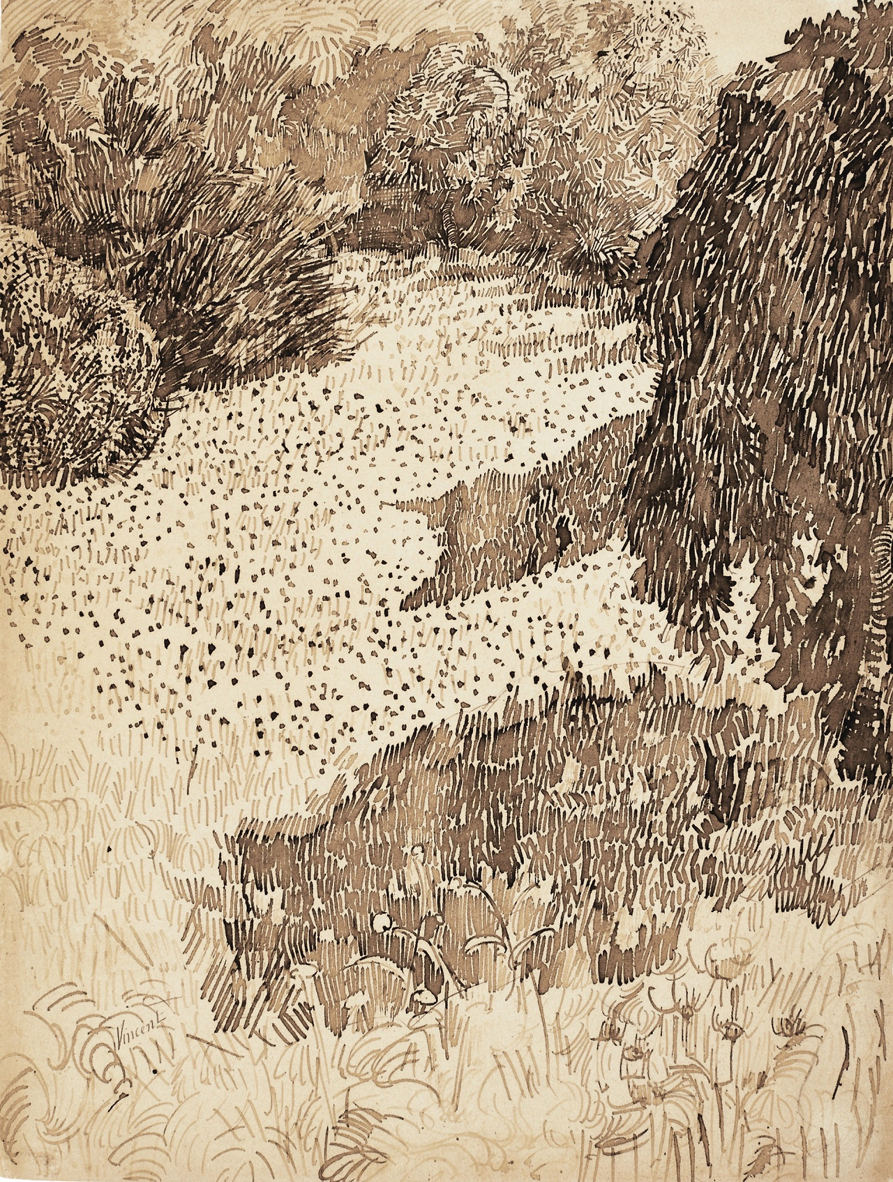 van-gogh-vincent---collezione-privata---coin-de-parc-1888-penna-e-inchiostro-su-carta-317-x-242-cm_50648144542_o.jpg