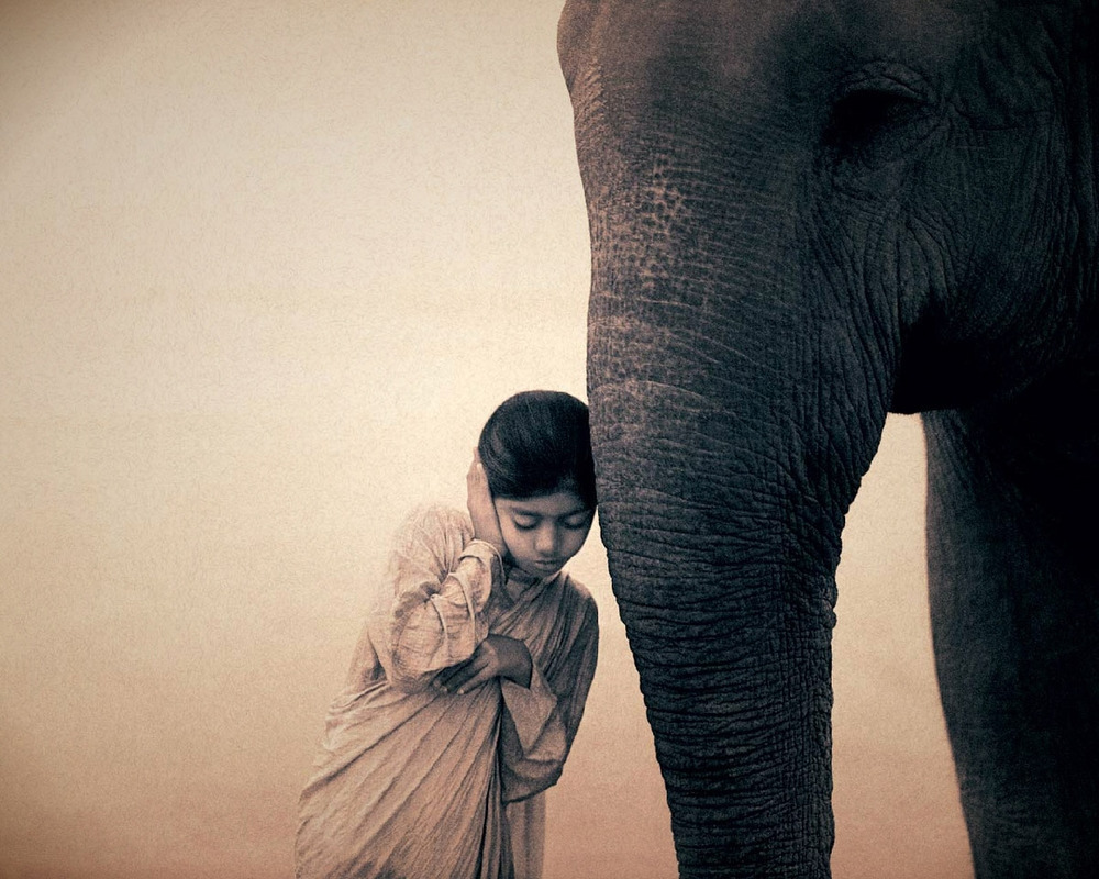 Gregory_Colbert8.jpg